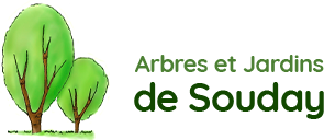 Logo Société