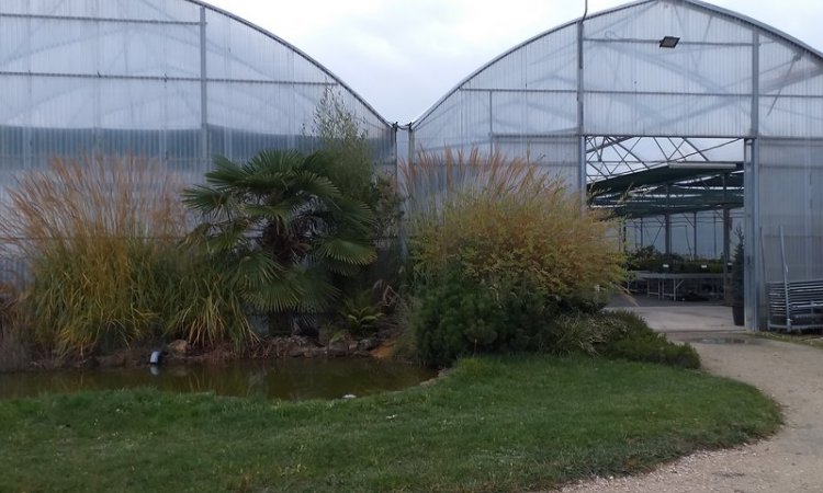 Arbres et Jardins de Souday à Souday - Paysagiste